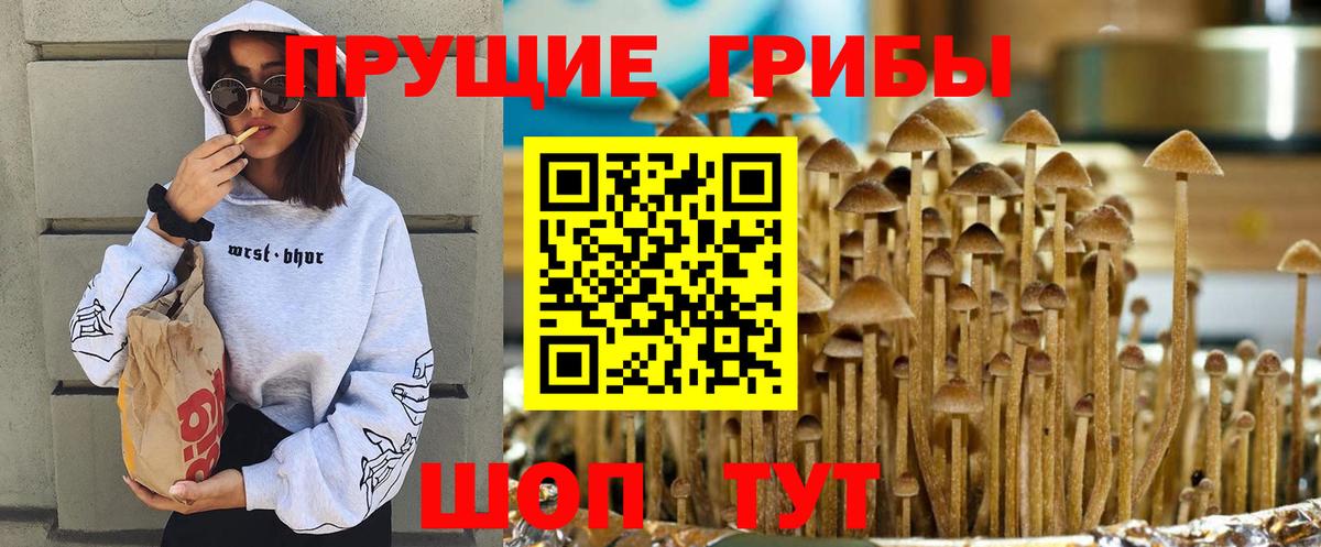 Псилоцибиновые грибы Magic Shrooms Люберцы